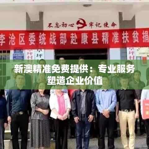 新澳精准免费提供:专业服务塑造企业价值