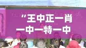 “王中正一肖一中一特一中:王中正一肖一中一特一中的哲学思想与实践价值”