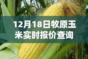 12月18日牧原玉米实时报价在线查询指南