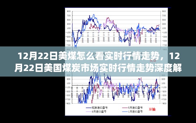 深度解析,美国煤炭市场实时行情走势分析(12月22日)