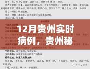 贵州秘境探秘,自然疗愈与寻找内心宁静之旅——实时病例追踪报道