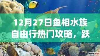 12月27日鱼相水族心灵之旅，深蓝海洋自由行攻略