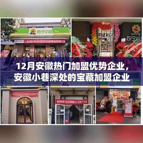 安徽特色加盟企业探寻,宝藏小店的无限魅力与独特优势