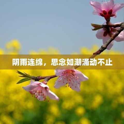 阴雨连绵，思念如潮涌动不止