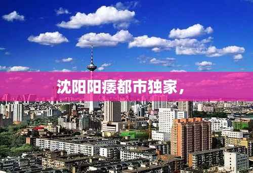 沈阳阳痿都市独家， 