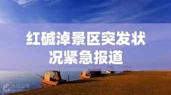 红碱淖景区突发状况紧急报道