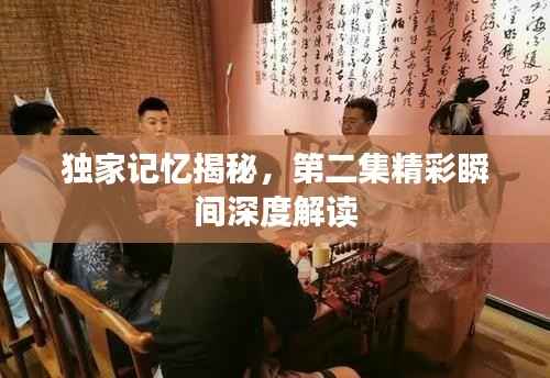 独家记忆揭秘，第二集精彩瞬间深度解读