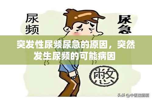 突发性尿频尿急的原因，突然发生尿频的可能病因 