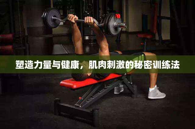 塑造力量与健康,肌肉刺激的秘密训练法