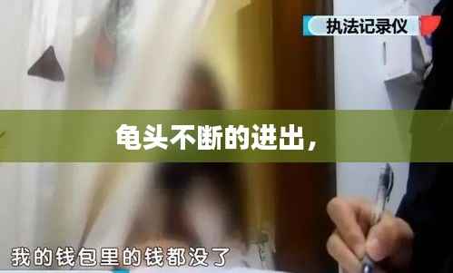 龟头不断的进出,