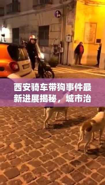 西安骑车带狗事件最新进展揭秘，城市治理新动向引发关注