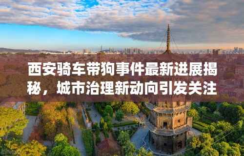 西安骑车带狗事件最新进展揭秘,城市治理新动向引发关注