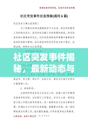 社区突发事件揭秘,最新动态与应对举措一网打尽!