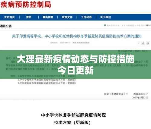 大理最新疫情动态与防控措施今日更新