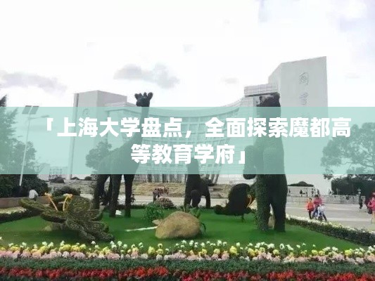 「上海大学盘点，全面探索魔都高等教育学府」