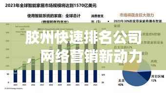 胶州快速排名公司,网络营销新动力,助力企业飞速攀升!