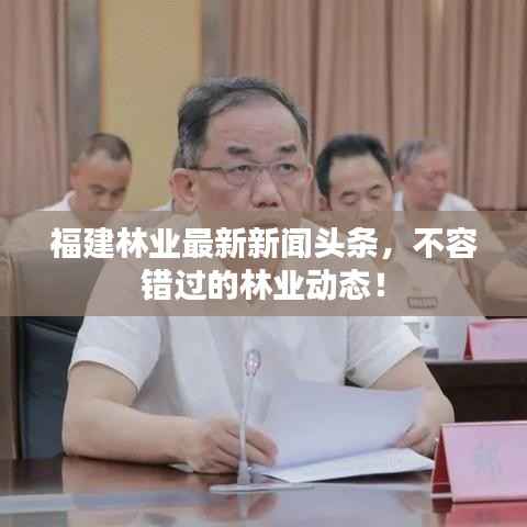 福建林业最新新闻头条，不容错过的林业动态！