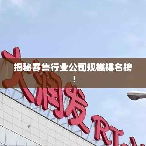 揭秘零售行业公司规模排名榜!