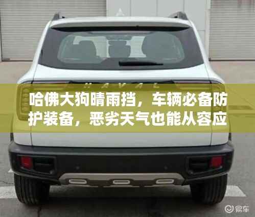哈佛大狗晴雨挡,车辆必备防护装备,恶劣天气也能从容应对!