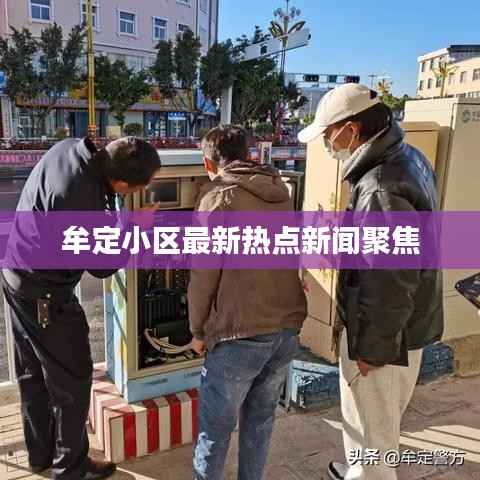 牟定小区最新热点新闻聚焦