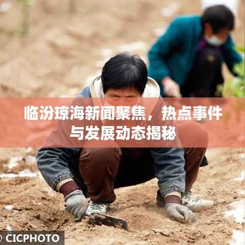 临汾琼海新闻聚焦，热点事件与发展动态揭秘