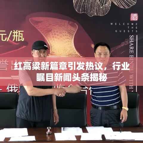 红高粱新篇章引发热议，行业瞩目新闻头条揭秘