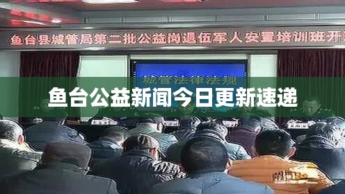 鱼台公益新闻今日更新速递