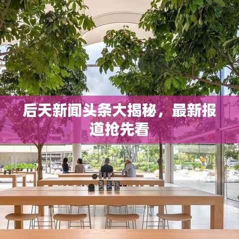 后天新闻头条大揭秘，最新报道抢先看