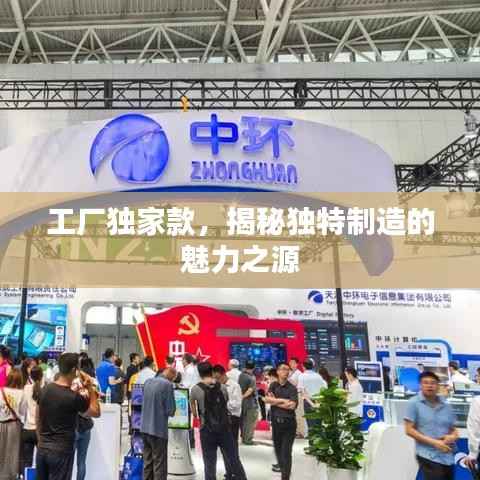 工厂独家款,揭秘独特制造的魅力之源