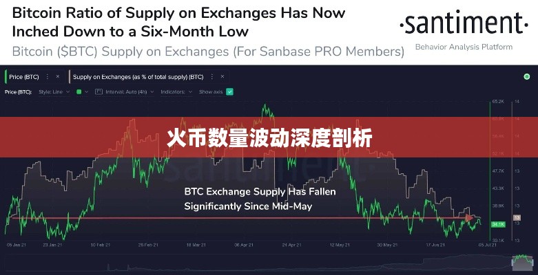 火币数量波动深度剖析