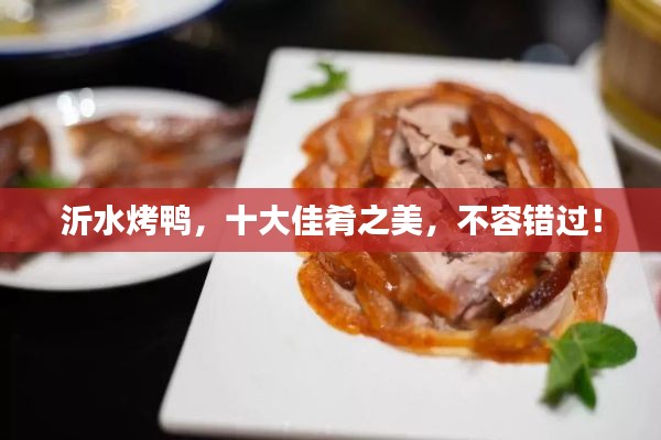 沂水烤鸭，十大佳肴之美，不容错过！