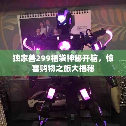 独家兽299福袋神秘开箱,惊喜购物之旅大揭秘