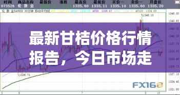 最新甘桔价格行情报告,今日市场走势一网打尽!