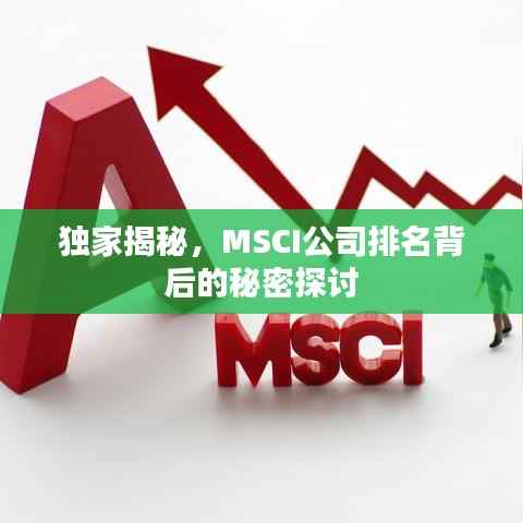 独家揭秘，MSCI公司排名背后的秘密探讨