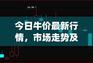 今日牛价最新行情，市场走势及影响因素深度解析