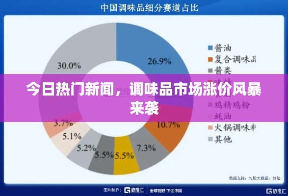 今日热门新闻,调味品市场涨价风暴来袭