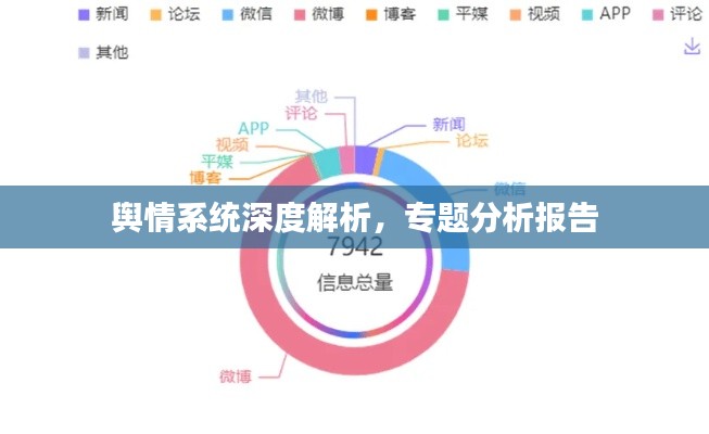 舆情系统深度解析,专题分析报告