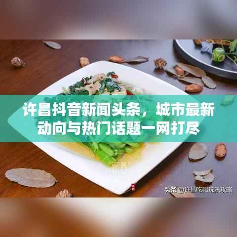 许昌抖音新闻头条，城市最新动向与热门话题一网打尽